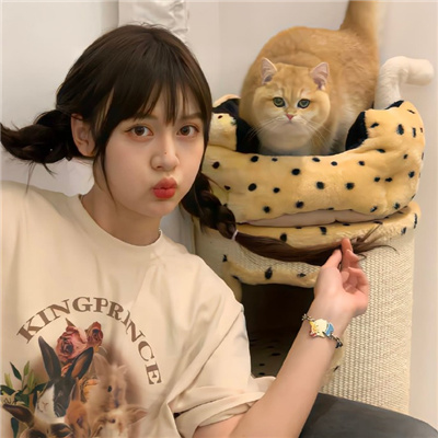 博尔塔拉蒙古伴游女生星晓莉的资料